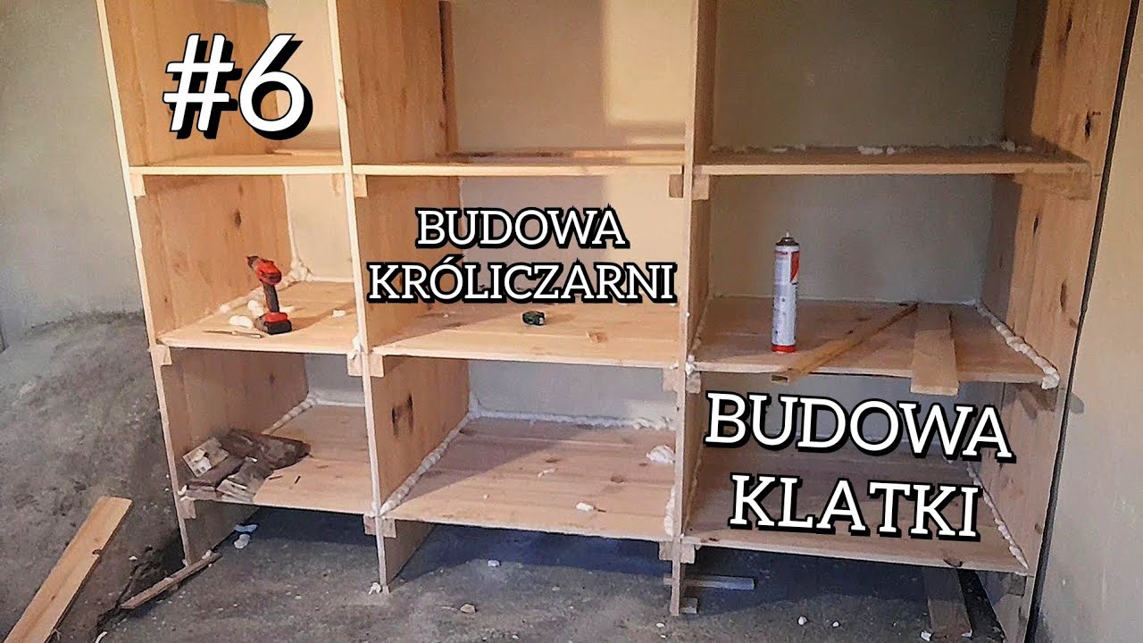 budowa króliczarni #6 • budowa klatki dla królików • klatka dla królików bez konstrukcji 🐰 #hodowla