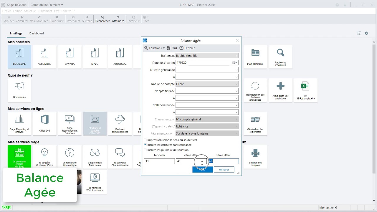 Sage 100cloud Comptabilité : Gestion des Tiers