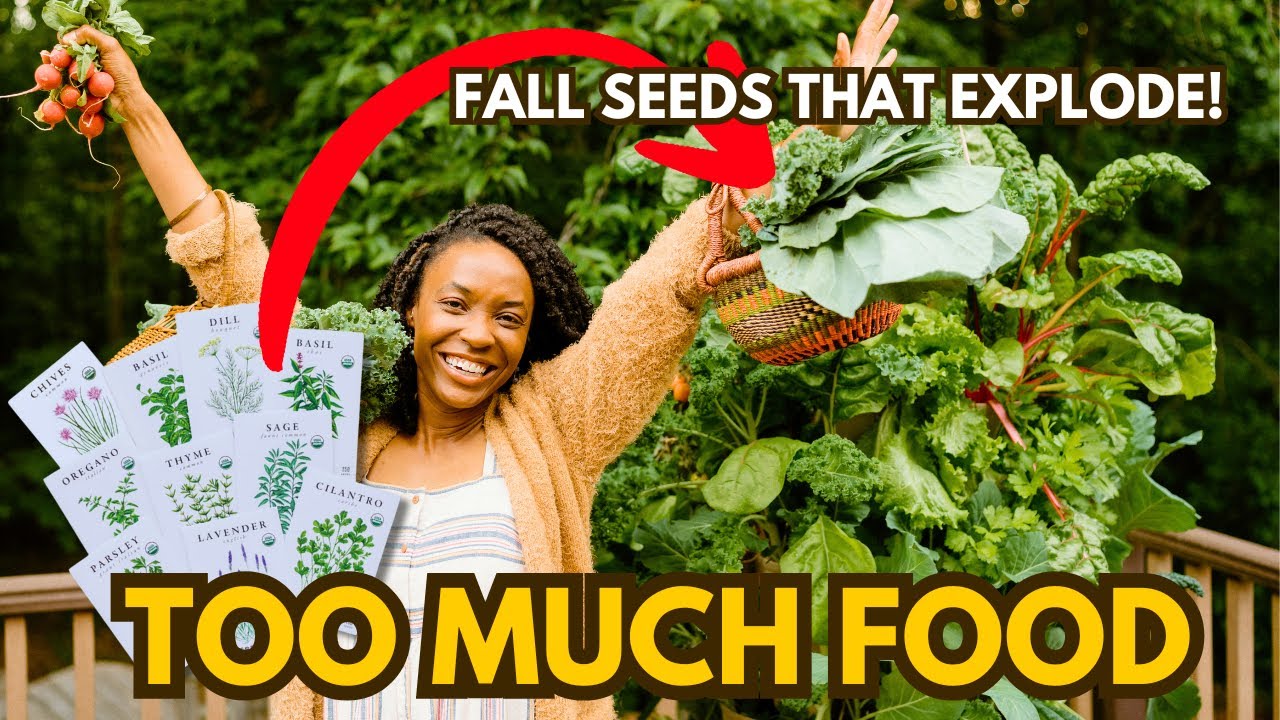 Plant These Fall Seeds: Harvest in 30 Days & All Winter