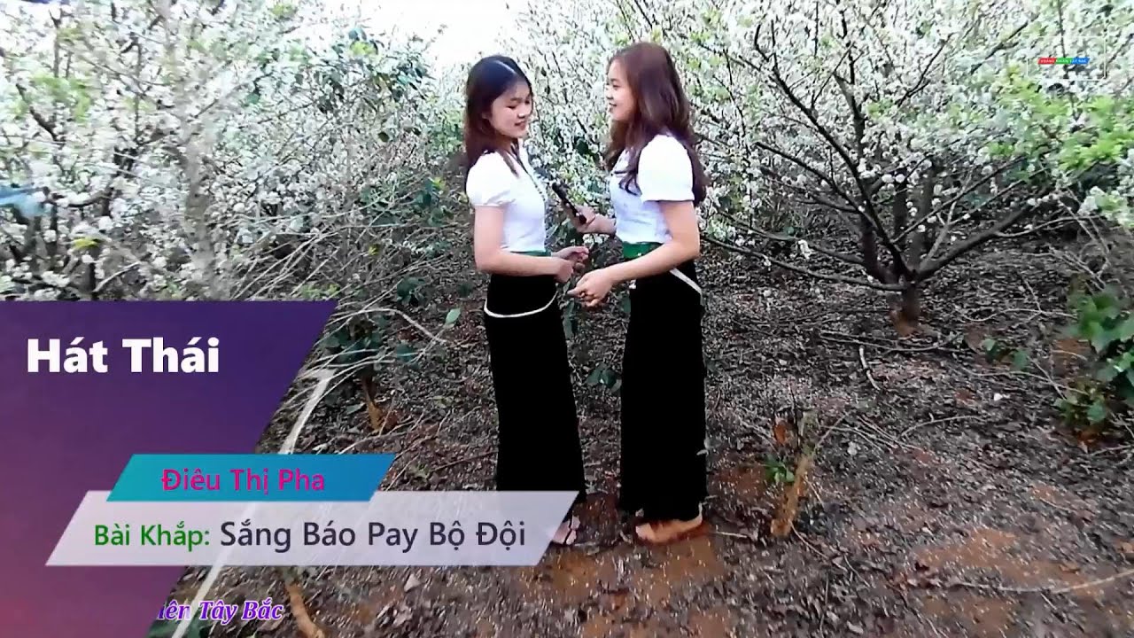 ✅ Bài Hát Điêu Thị Pha - Mới Nhất - Sắng Báo Pay Bộ Đội || Hoàng Nhiên Tây Bắc
