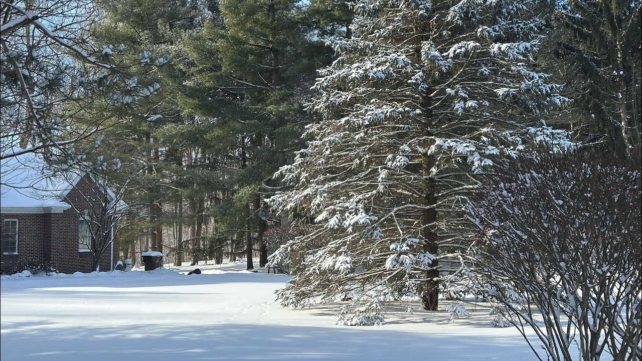 Pondělní vlog#37/máma9dětí/žijeme v Americe/dnes jsou zavřené školy❄️🩵☃️/u doktora/povídání/peču/👭🐶🧺