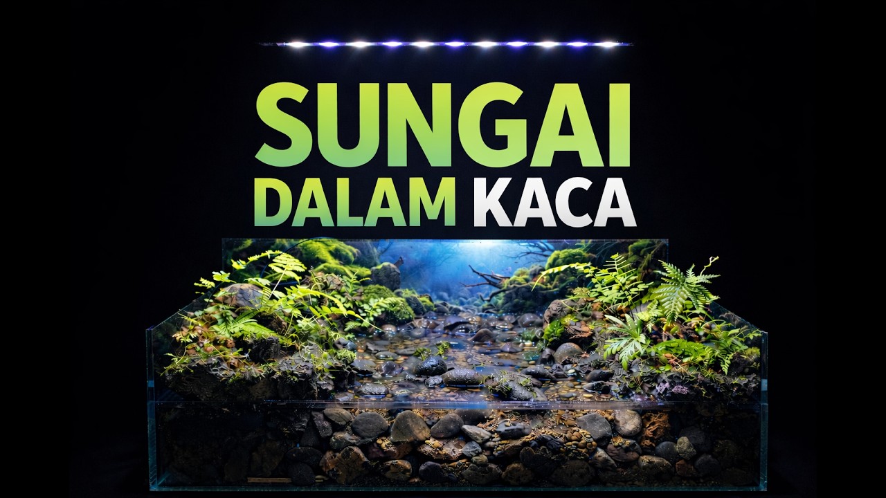 MEMBUAT SUNGAI KECIL DI DALAM AQUARIUM...