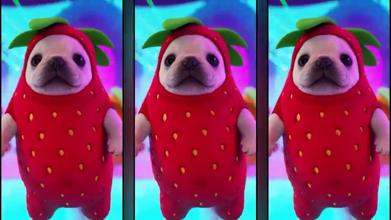 Bulldogs dance to Just the Way You Are for 1 hour