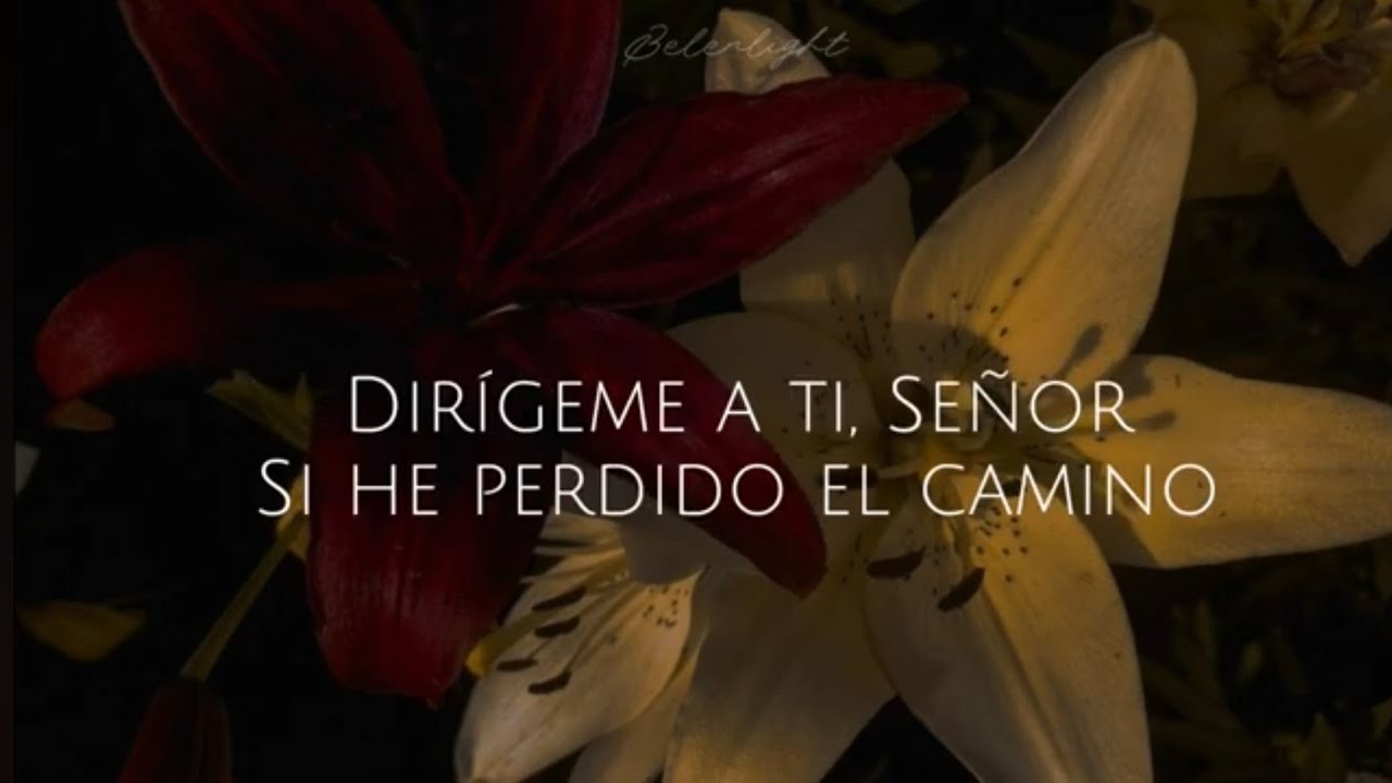 Corro A Ti (Quiero Volver) - Averly Morillo // Letra 