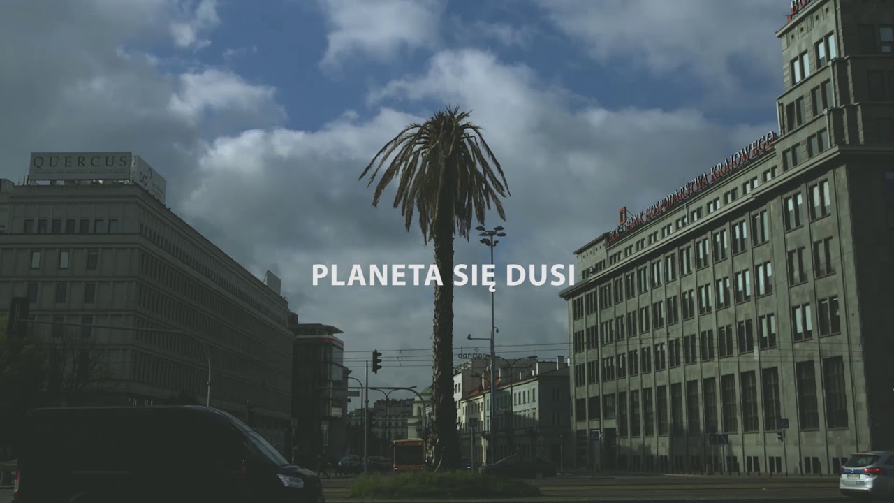 #DlaPlanety - Najsłynniejsza palma w Polsce usycha