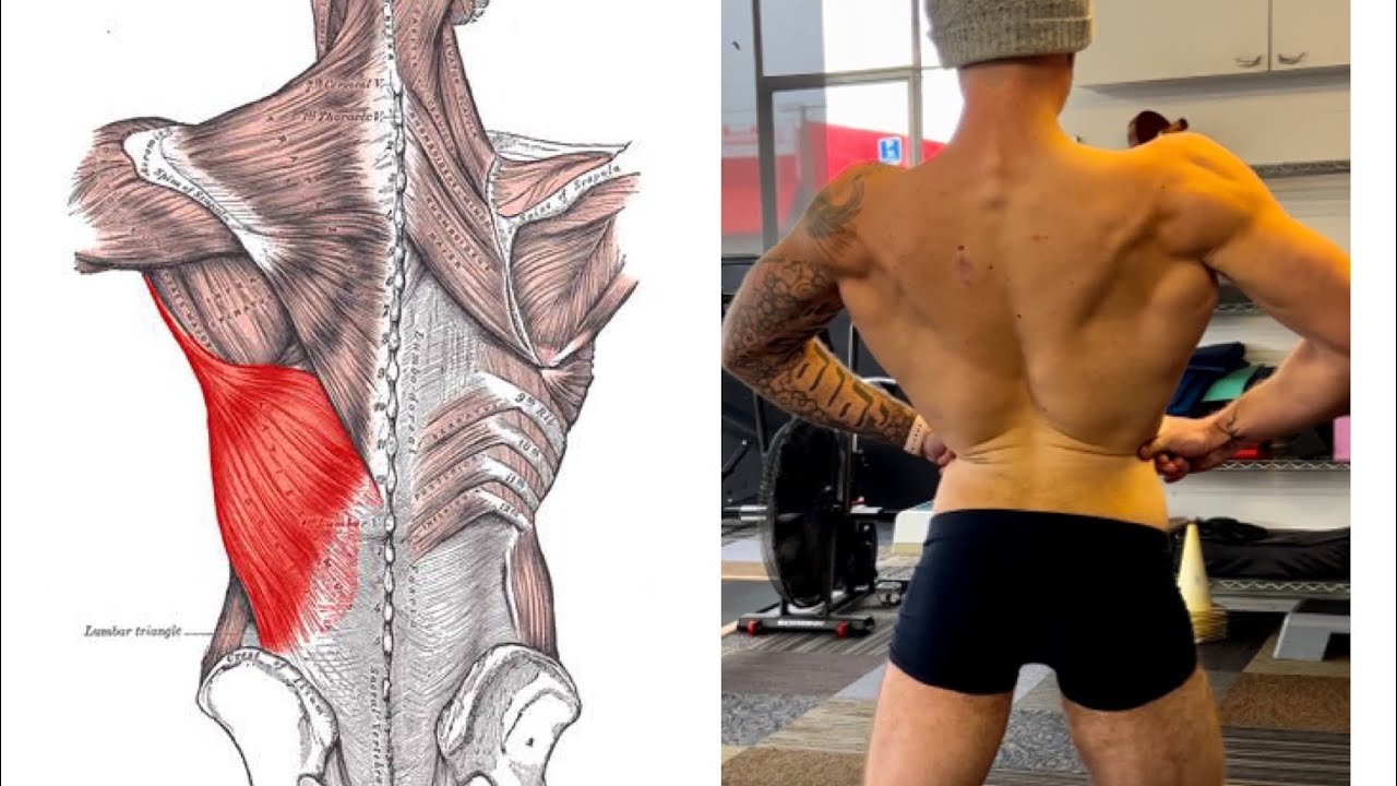 BUILD a MEGA WIDE BACK