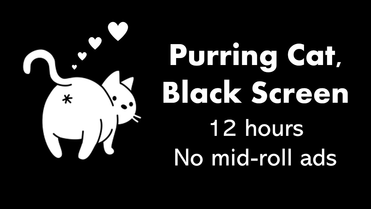 Purring Cat, Black Screen 😽⬛ &bull; 12 hours &bull; No mid-roll ads