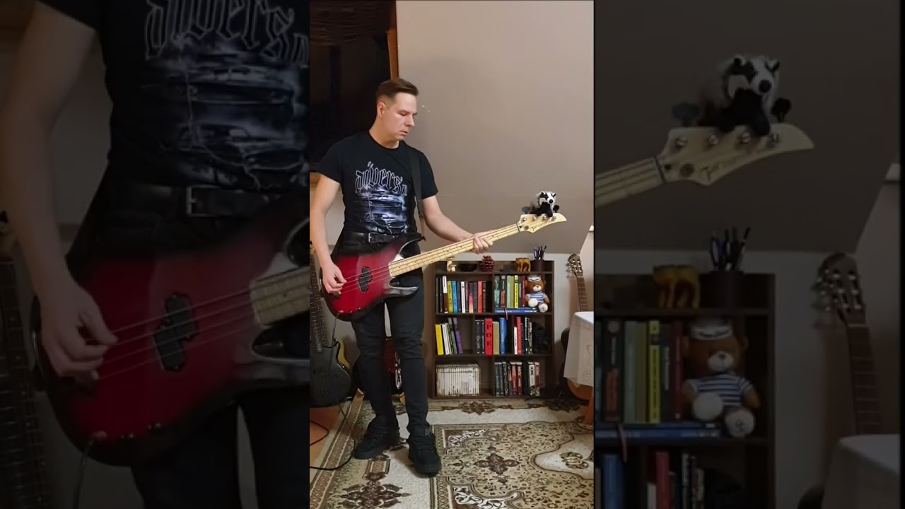 Rosetta Stone - Summer bass cover 