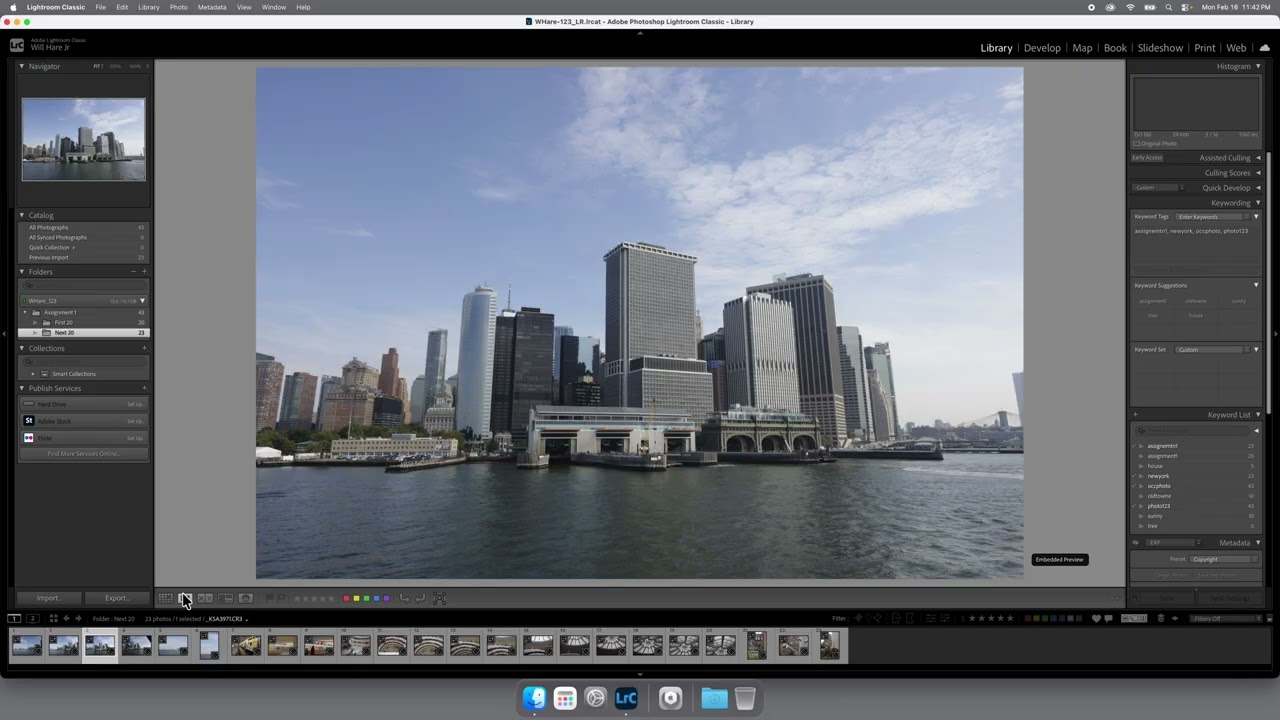 Importing the next 20 images