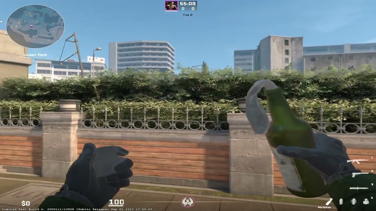 CS2 Overpass A Toilets to B Site Incendiary/Molotov
