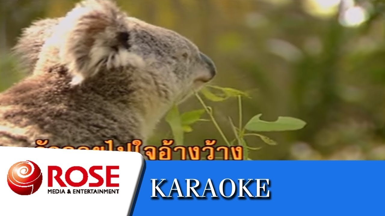 หนทางสู่รัก - ดนุพล แก้วกาญจน์ (คาราโอเกะซาวด์ดนตรี)
