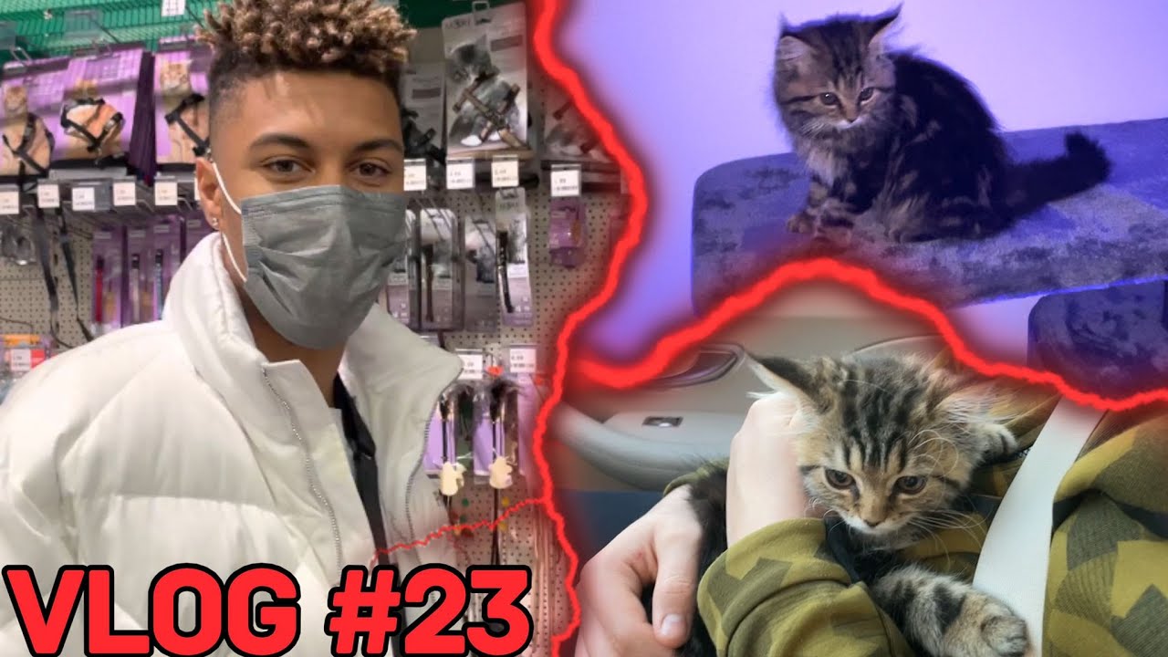 EIN TAG MIT MEINER NEUEN BABY KATZE ALLY😻 VLOG #23🔥 | SIDNEYEWEKA