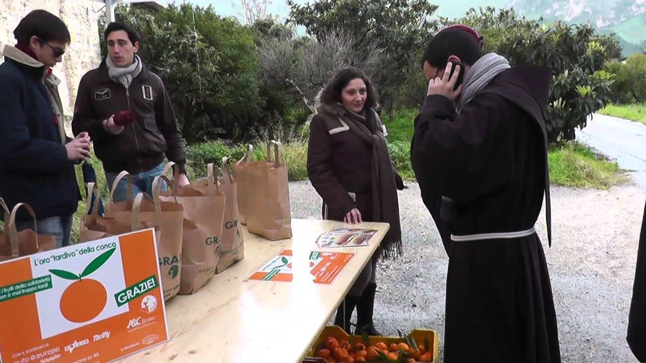 Fiori di Acciaio: Al Fondo Favarella si Raccoglie il Mandarino Tardivo, per una Iniziativa Sodale