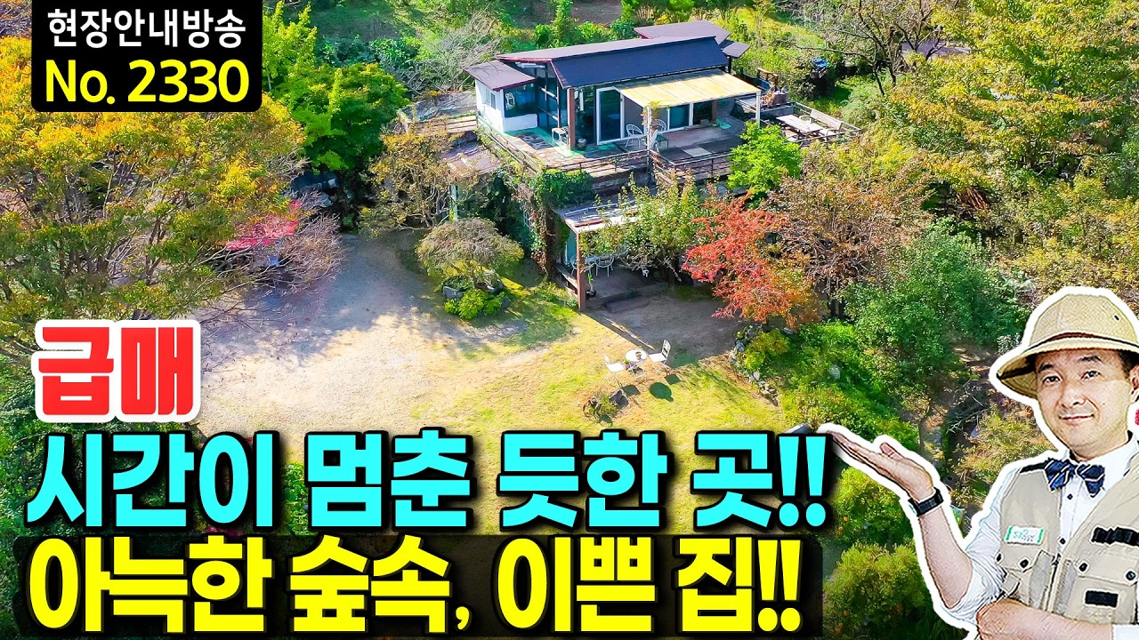 (강추) 시간이 멈춘 듯한 곳 아늑한 숲속 전원주택 매매 보이는 모든 것이 힐링 직영 건축  맘껏 뽐내다시피 가꾼 조경 솜씨가 돋보이는 집 펜션 완주부동산 - 발품부동산TV
