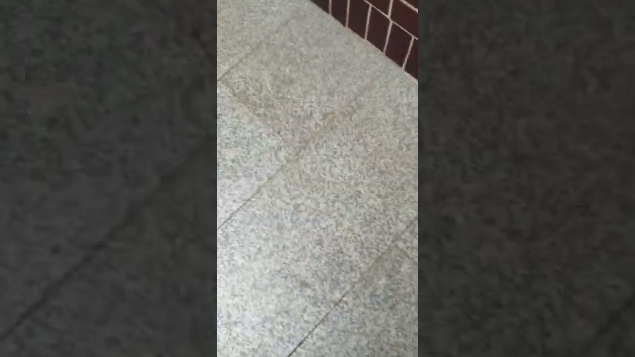 ㄱㅁㅍㅇ