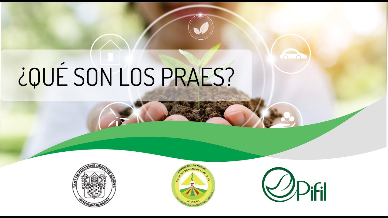 ¿Qué son los PRAES?