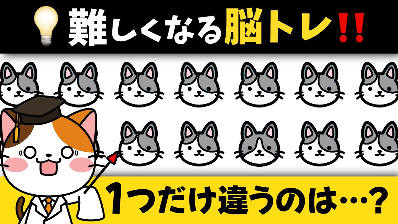 全問正解1%未満の超難問！可愛いイラスト・漢字・数字で脳トレ💡【猫ちゃん編】