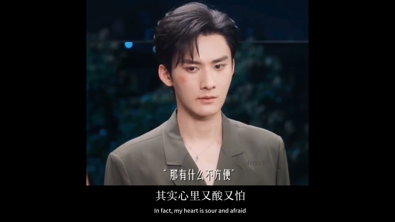 Shen Wenlang's POV