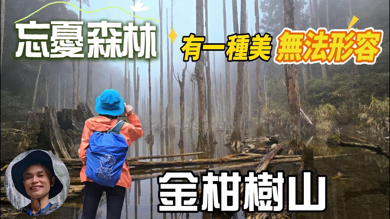 忘憂森林有一種美無法形容，雲霧繚繞，水氣朦朧，全台入園數第一名的森林遊樂區，溪頭自然教育園區，溪頭四珠老二金柑樹山，風景優美，茶園、櫻花林，柳杉、台灣杉，杜鵑、孟宗竹，陽光穿林，山嵐籠罩，十分迷人。