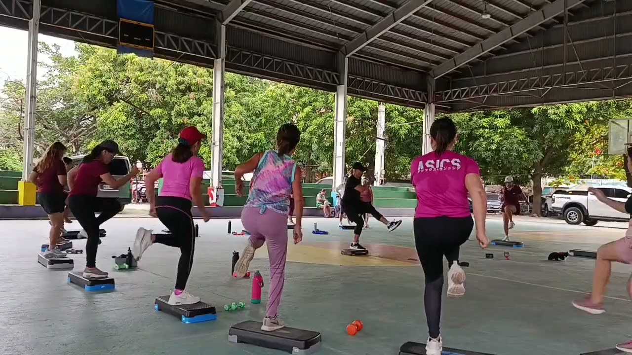 Step Board Workout 1193
