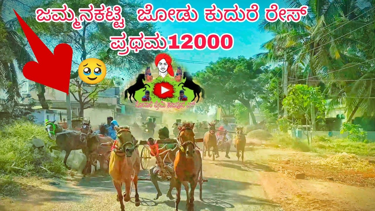 🧨ಜಮ್ಮನಕಟ್ಟಿ ಜೋಡು ಕುದುರೆ ರೇಸ್ ಪ್ರಥಮ್ ಸ್ಥಾನ ಮಿರಜ್  ಸೋನ್ಯಾ 🥇🎉
