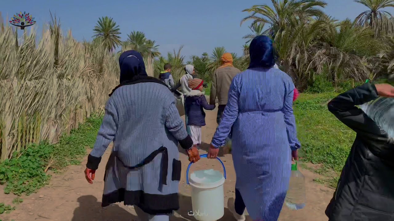 اقبال العائلات على واحة تيوت الدقة الهوارية النخيل العيون متنفس طبيعي سياحي لا مثيل له في فصل الربيع