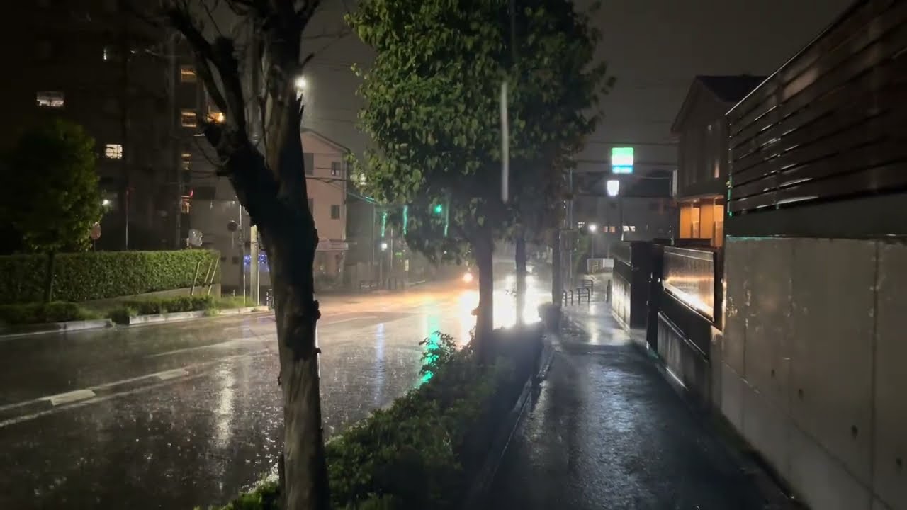 Japan Windy Night Light Rain Walk 2025.08.10 ASMR Ambience Sound Sleep Meditate Relax Peace Tokyo