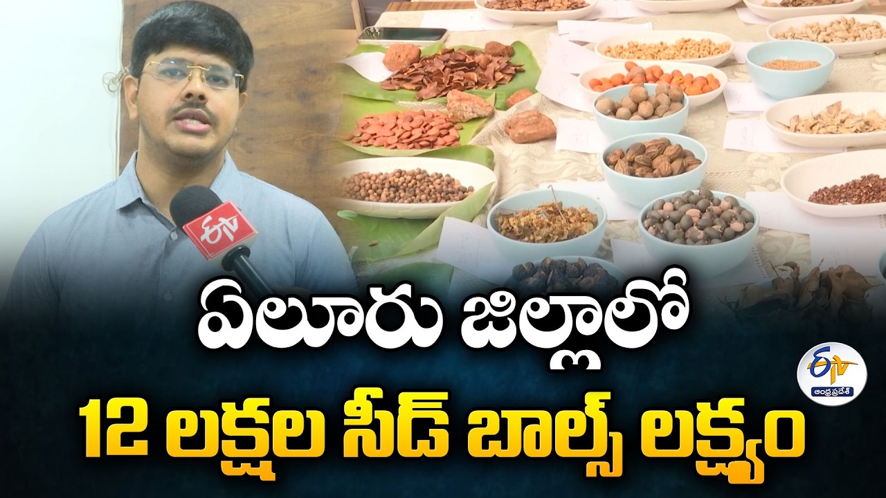 Eluru Forest Department Plans 12 Lakh Seed Balls for Green Expansion Drive