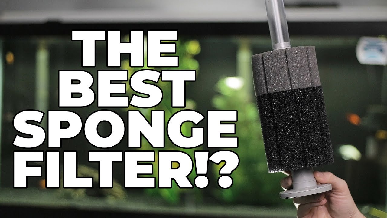 ATI Sponge Filter Unboxing!