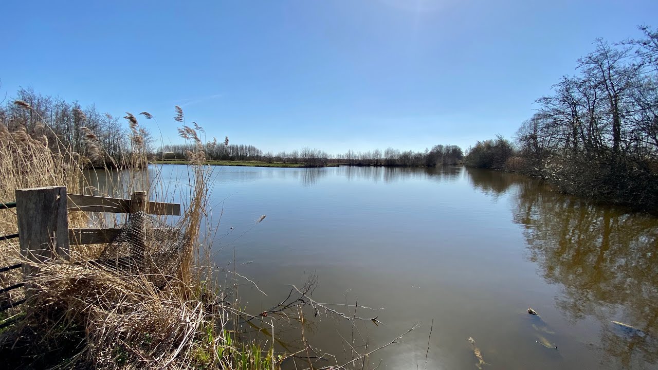 Rondje Reeuwijkse Plassen