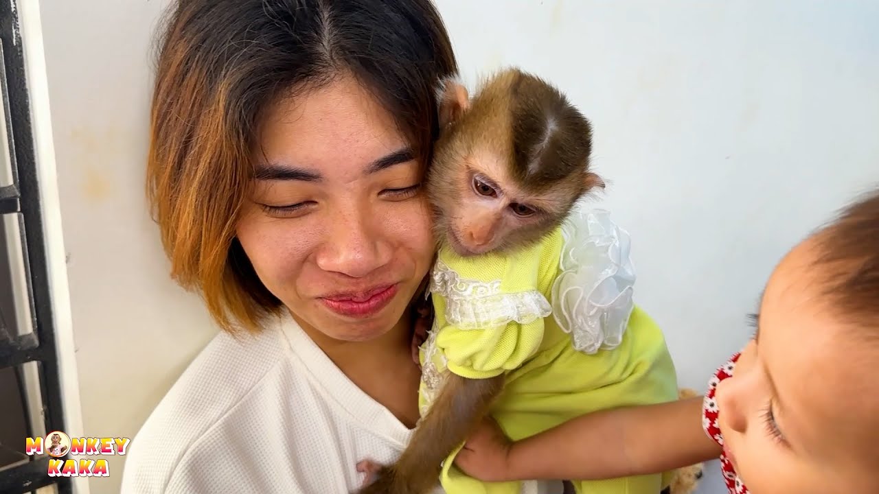 Monkey Kaka and Diem comforted mother when they saw her crying