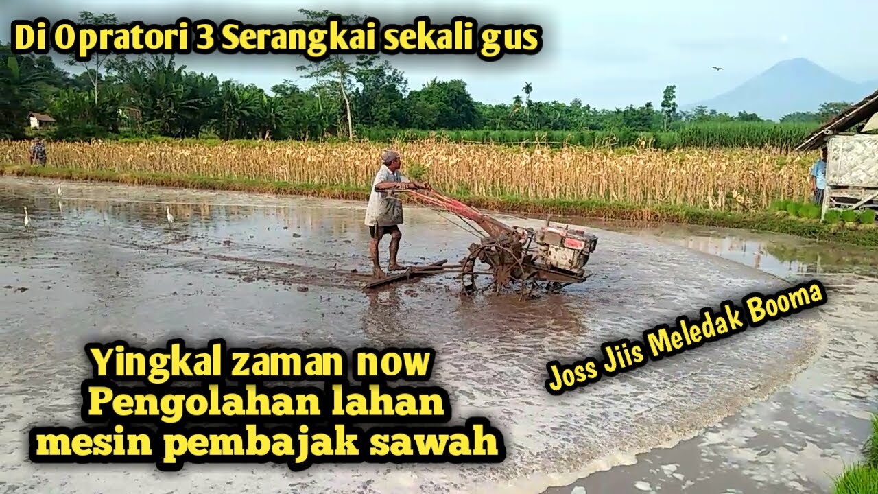 Traktor sawah 3serangkai.Peroses pengolahan lahan tanam padi lereng Semeru.Ds Kaliwungu/Kec Tempeh.