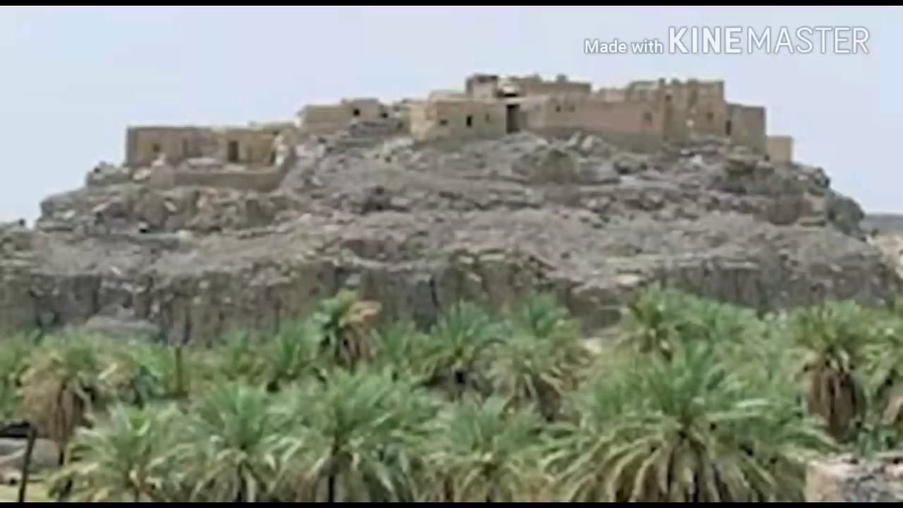 قصيدة يا نفس نلتي المنى بصوت الحافظ خليل