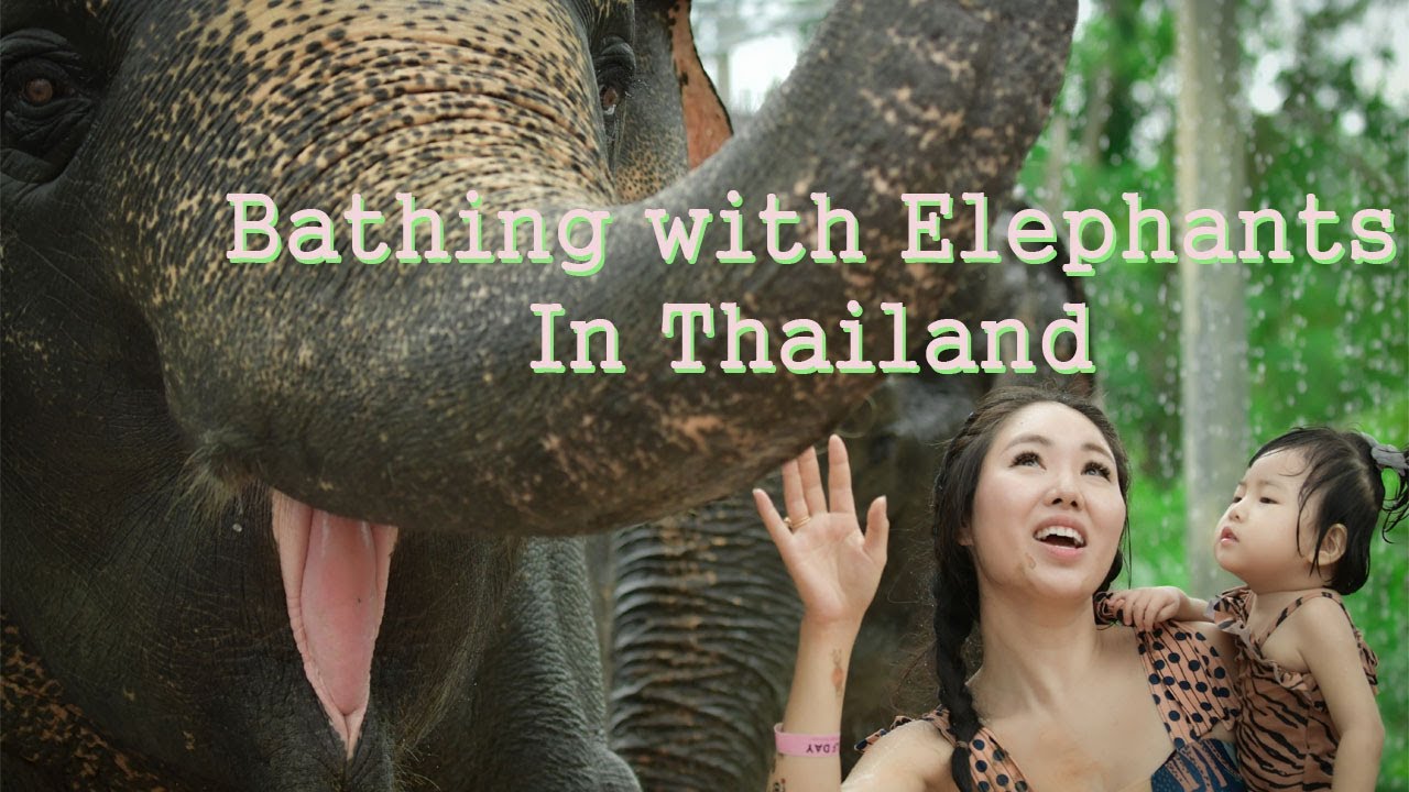 The Kangjooz // Elephant Jungle Sanctuary in Phuket Thailand // September 2023