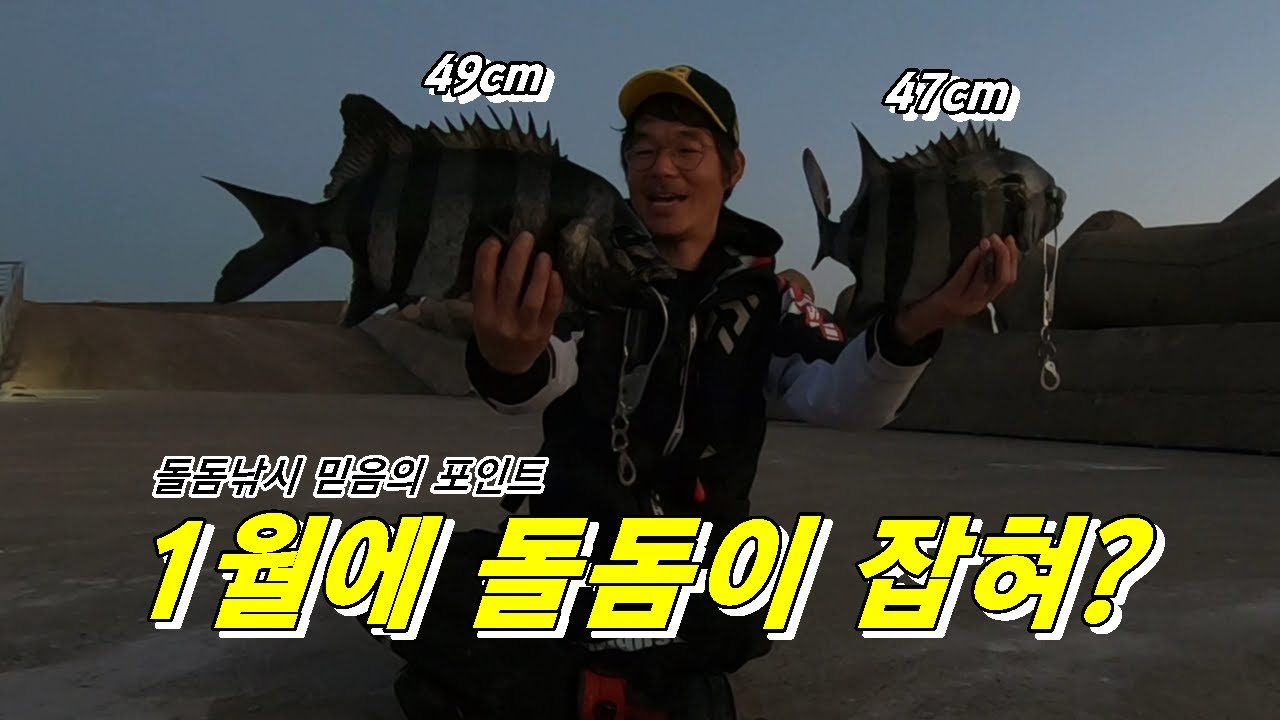 한겨울철 가장 비싼 물고기 돌돔을 잡아보자