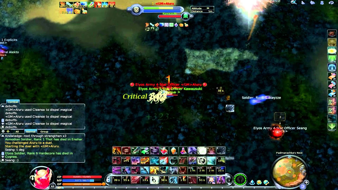 Aion 4 8 PvP Assasin Kawausuki Vol. 2