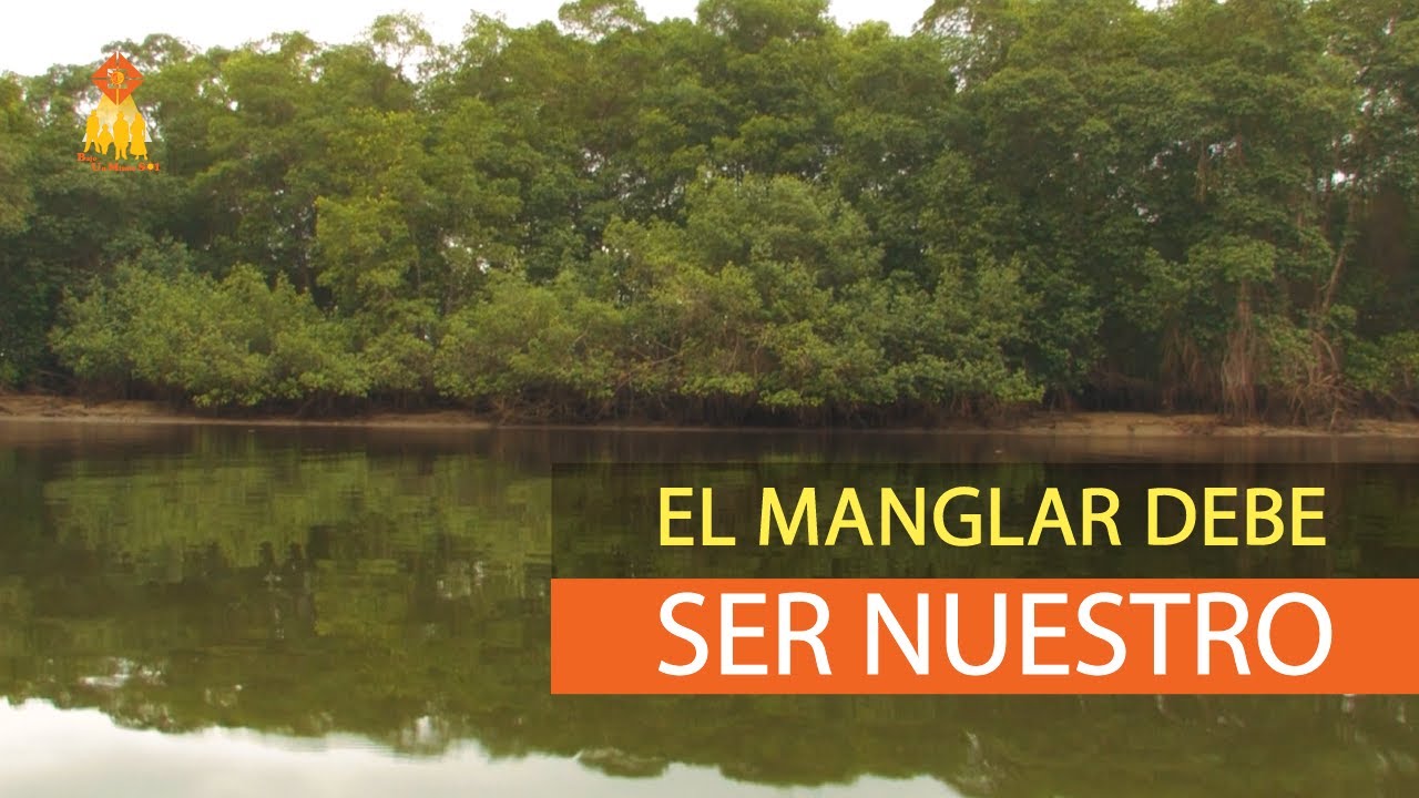 Manglares en resistencia