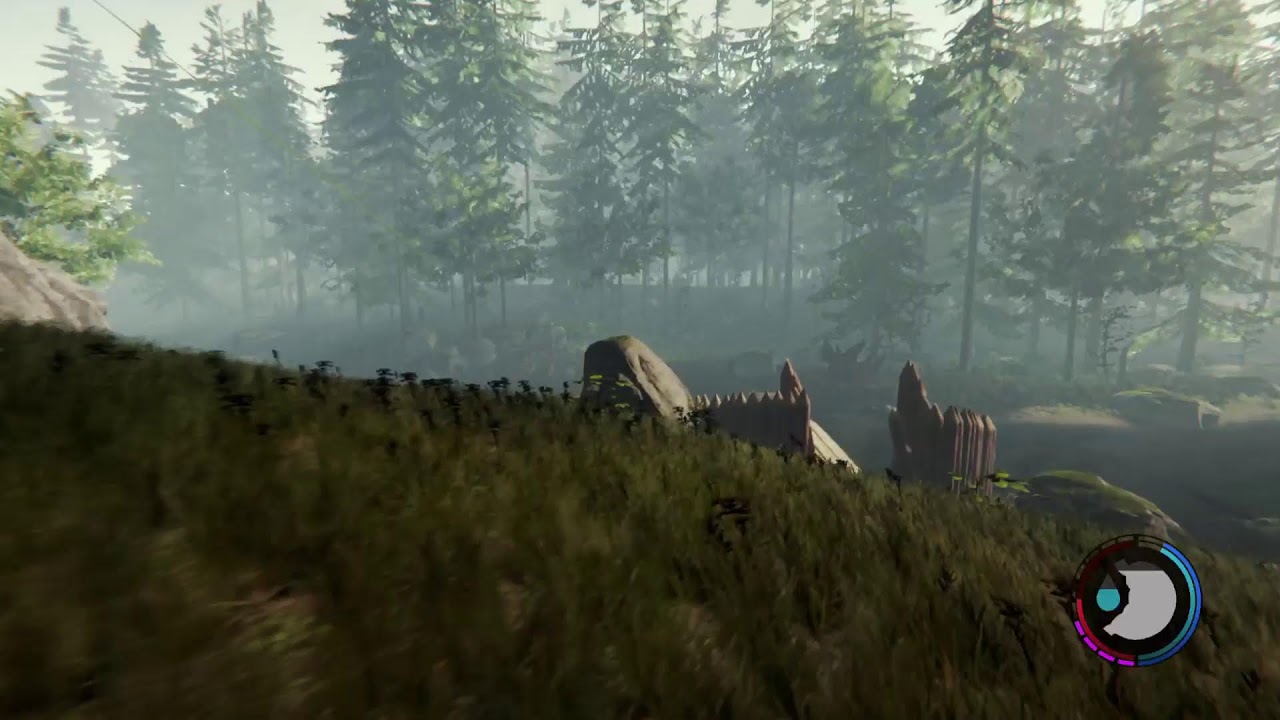 The  Forest: Continues..(4)