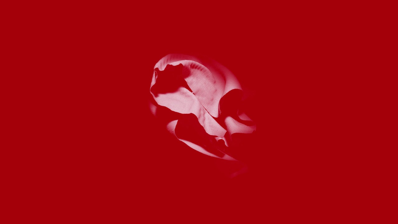 Milk & Bone - Nevermore (Official Audio)