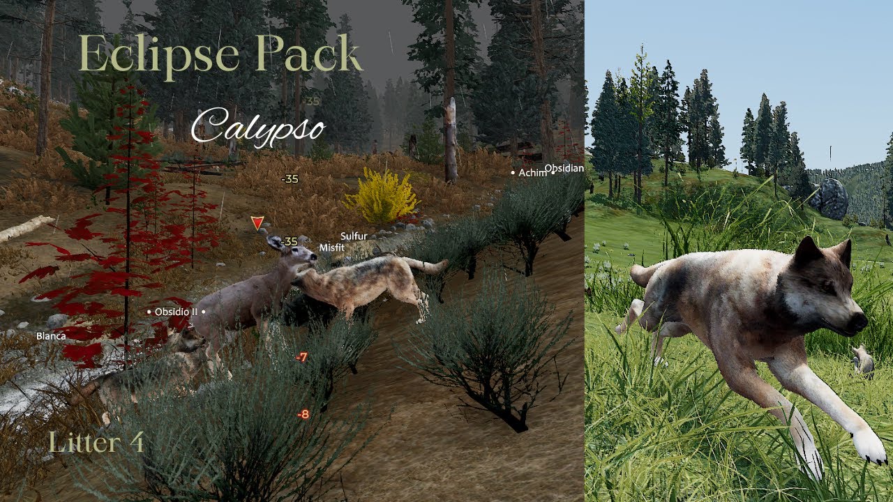 Eclipse Pack - Calypso L4 - Grow Pups/Young Hunters [WolfQuest Saga]