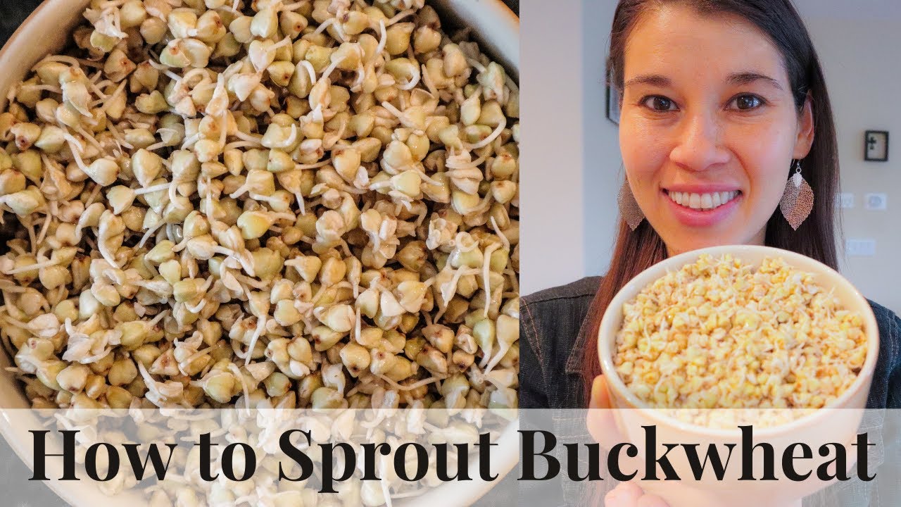How to Sprout Buckwheat - Simple & Easy!