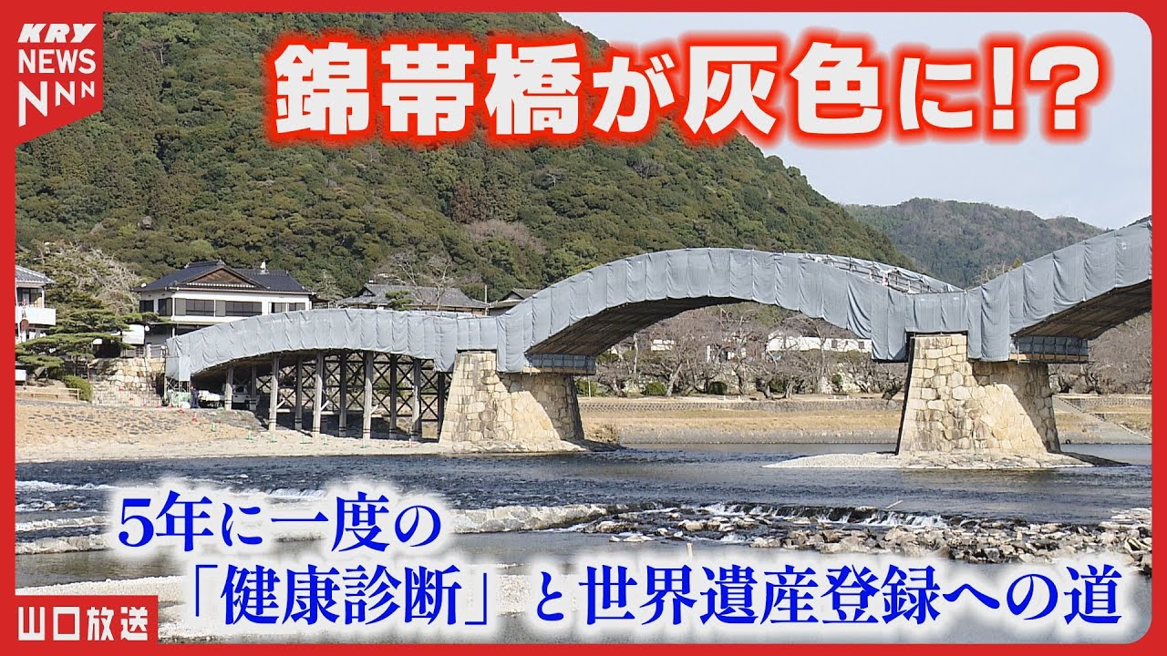 錦帯橋が異様な姿に？カバーに覆われた理由と世界遺産登録の行方／山口・岩国市