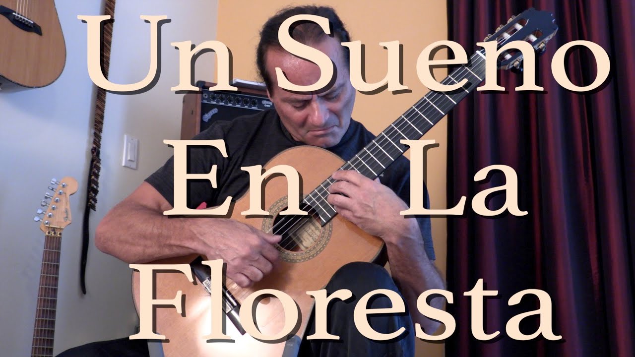 Un Sueño En La Floresta (Agustín Barrios) Michael Marc