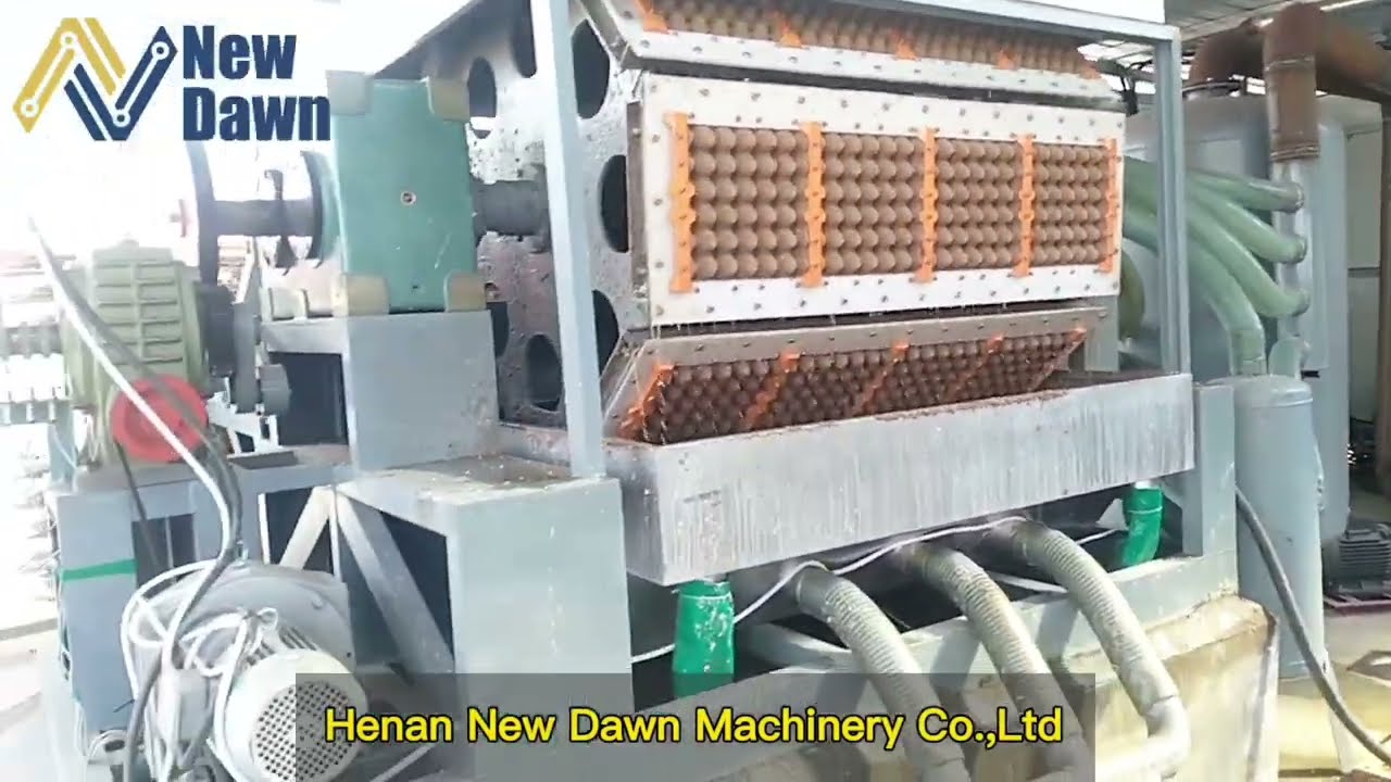 4000pcs/h Sun drying egg tray machine | Manual egg tray machine | New Dawn egg tray machine