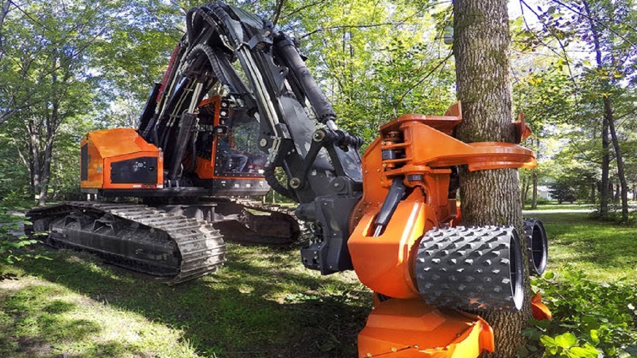 ये ख़तरनाक मशीनें देखकर आपके होश उड़ जाएंगे ✅ 10 Amazing Forest Harvesting Machines