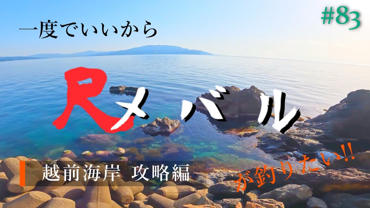 【無限に続く、岩場と海藻】一度でいいから尺メバルが釣りたい!!#83【メバリング】