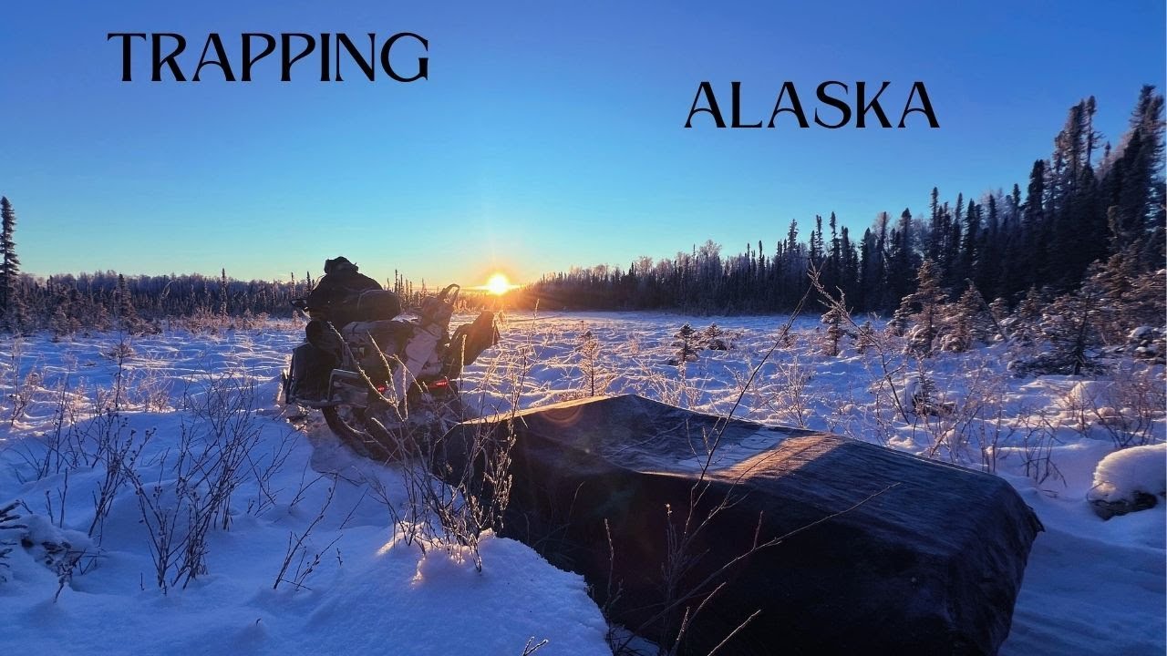 Trapping Marten,Mink & River Otter and Staying at Our Remote Alaskan Cabin!