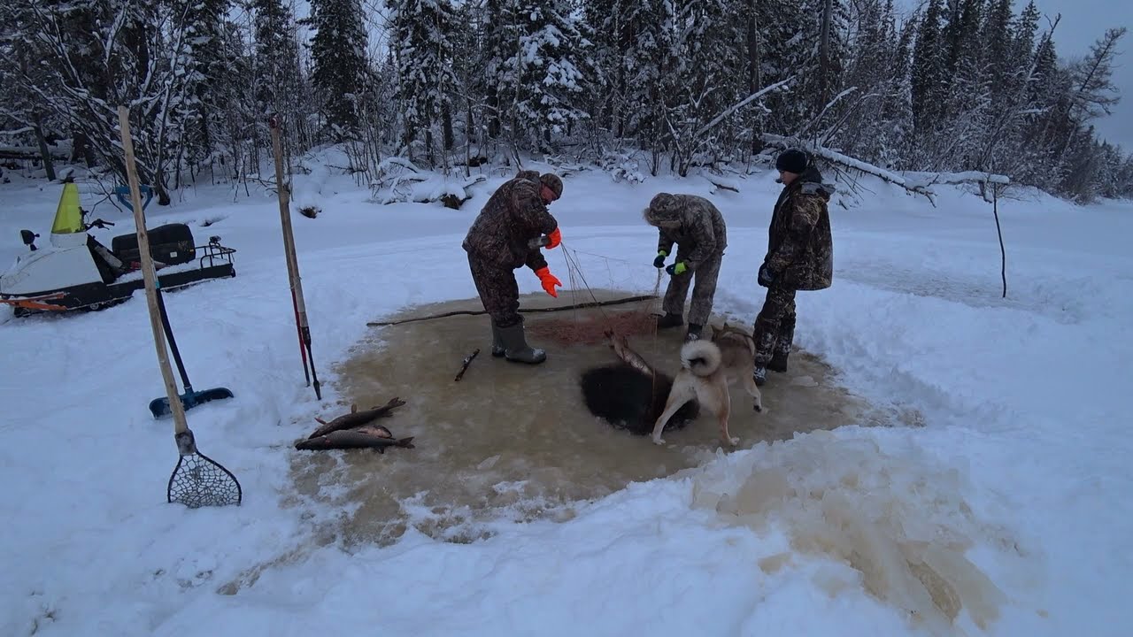 Рыбалка, проверка сетей подо льдом