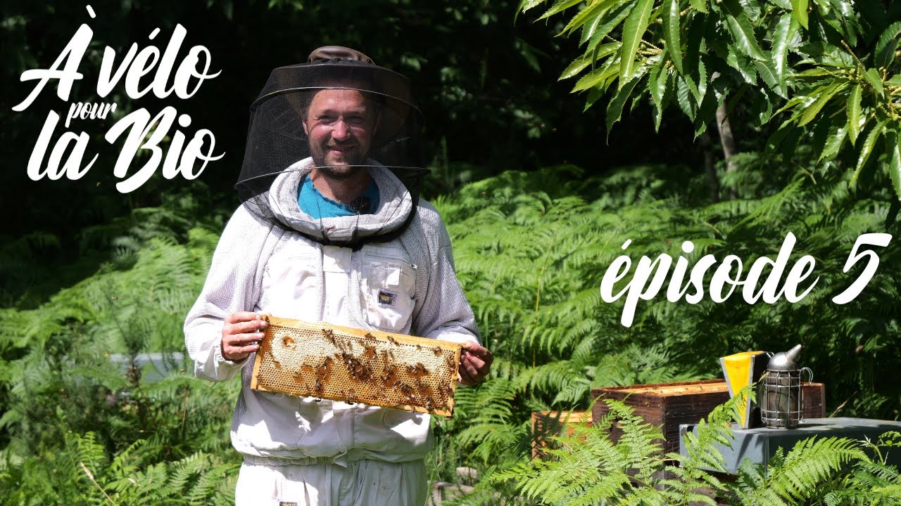 [Épisode 5] À vélo pour la bio - Bio et Biodiversité 🐝