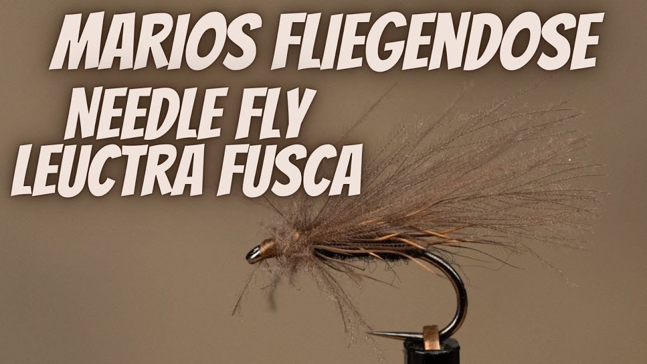 Marios Fliegendose - Needle Fly - Kleine Steinfliege